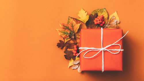 Beitragsbild für News illustriert das Thema mit einem herbstlichen Paket in einem Bett aus verfärbten Laubblättern